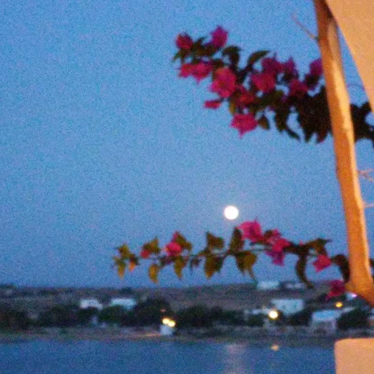Hotel Bocamviglies By The Sea Naousa  Exterior foto